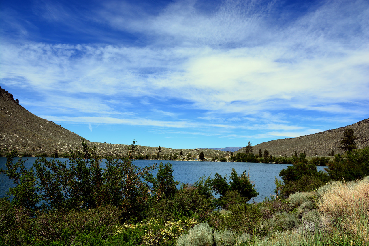2015-06-19, 010, Concivts Lake, INYO National Forest, CA