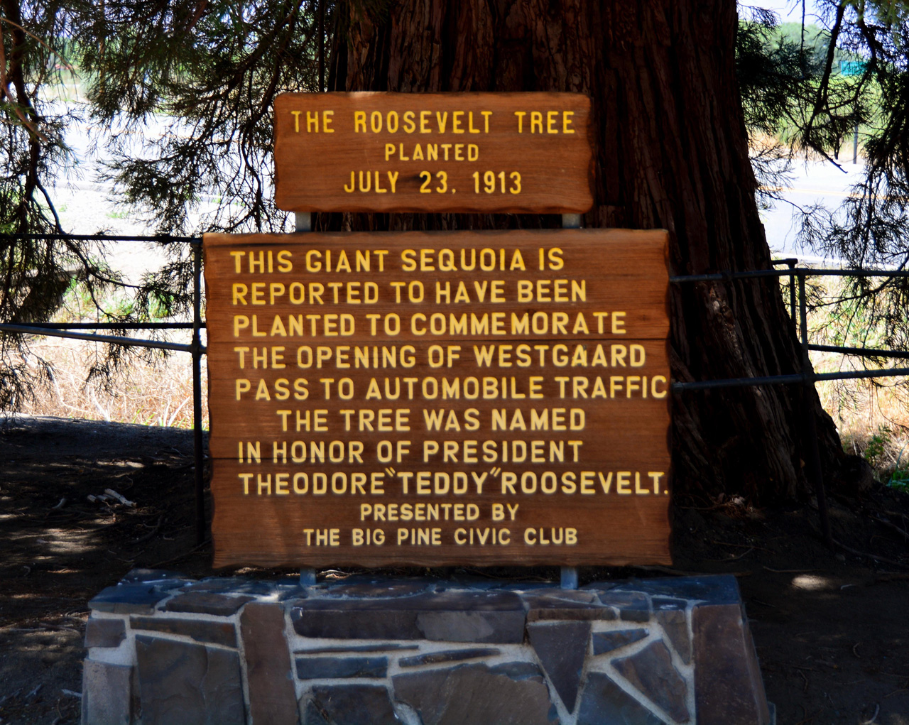 2015-06-01, 002, Ancient Bristlecone Pine Forest, CA
