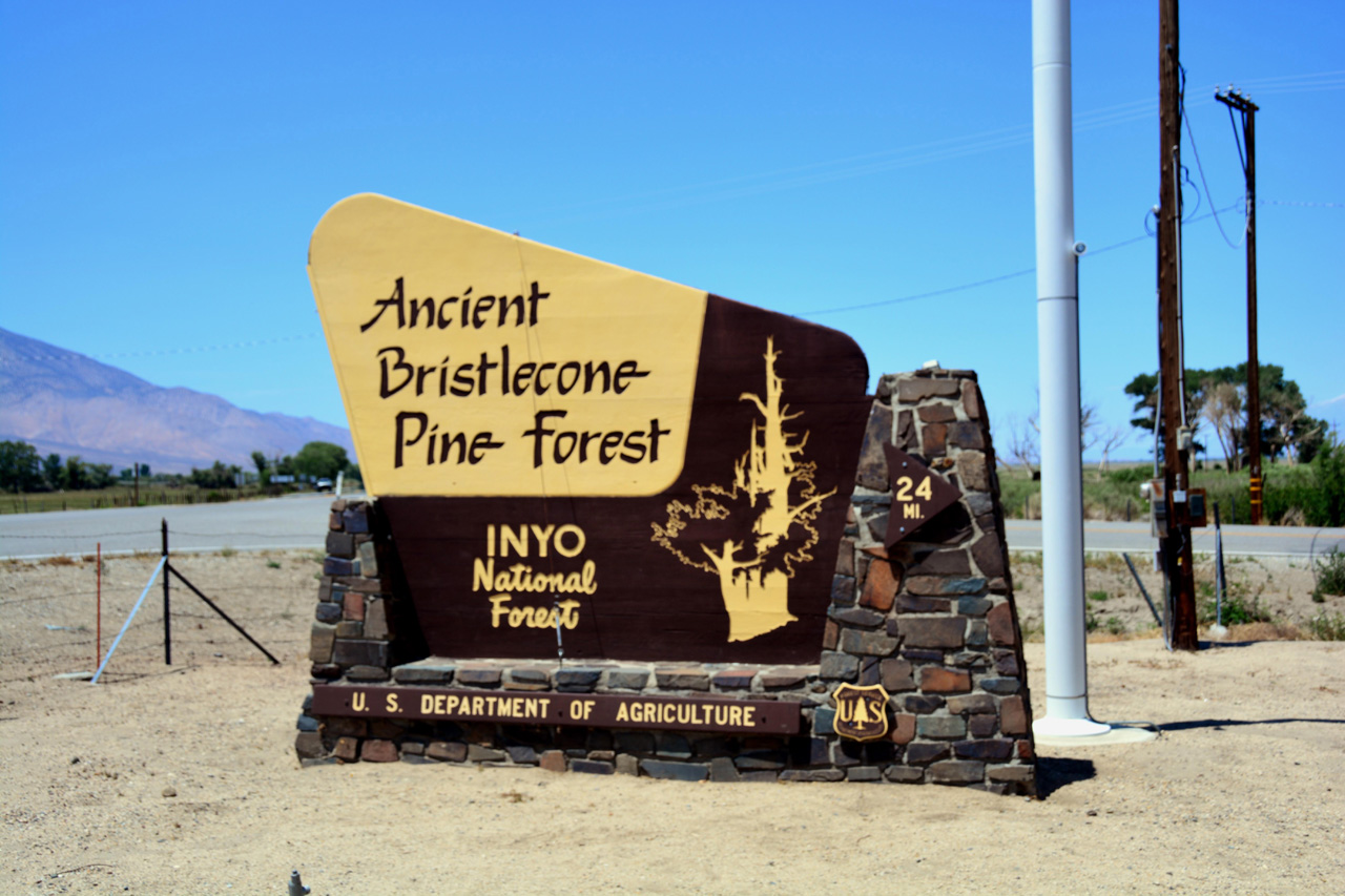 2015-06-01, 003, Ancient Bristlecone Pine Forest, CA