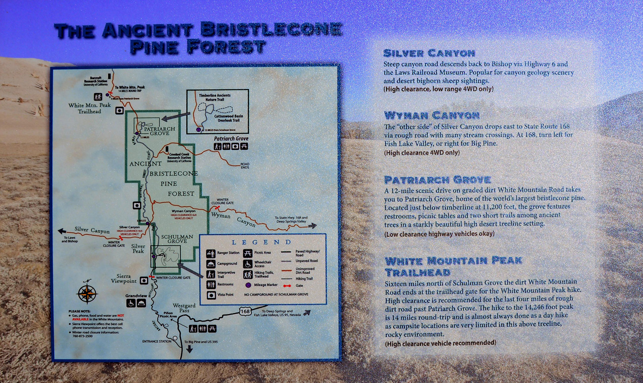 2015-06-01, 006, Ancient Bristlecone Pine Forest, CA