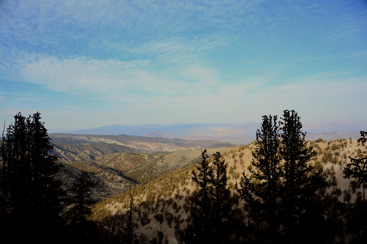 2015-06-01, 036, Ancient Bristlecone Pine Forest, CA