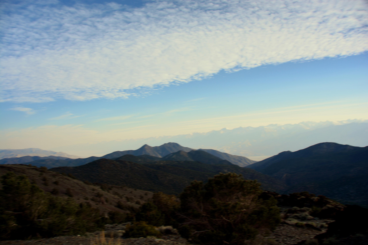 2015-06-01, 039, Ancient Bristlecone Pine Forest, CA