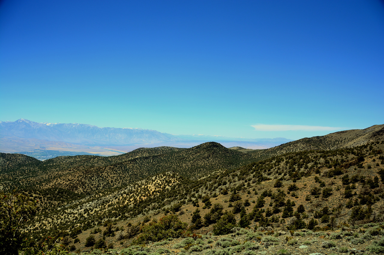 2015-06-02, 001, Ancient Bristlecone Grand View Overlook