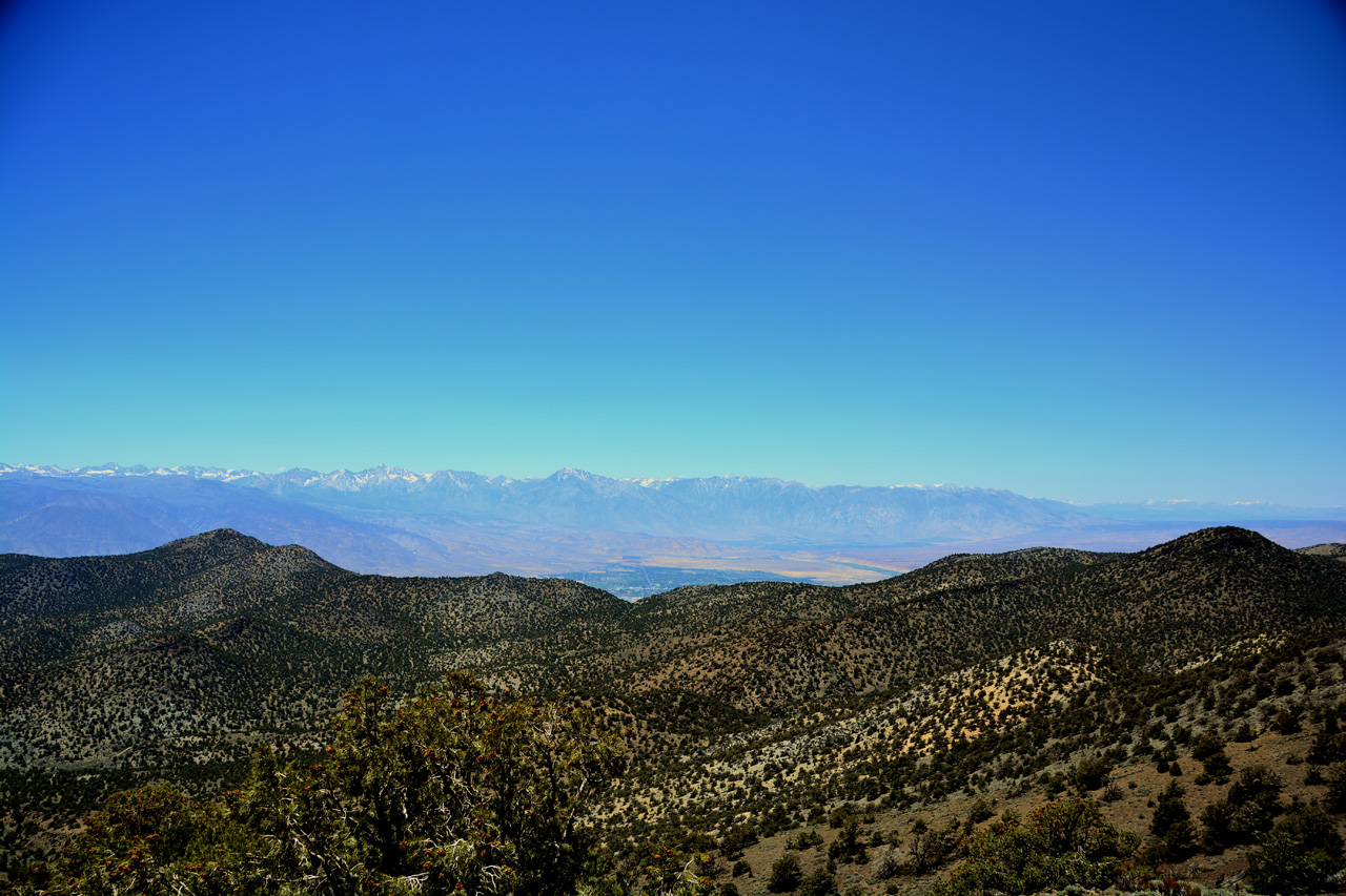 2015-06-02, 002, Ancient Bristlecone Grand View Overlook