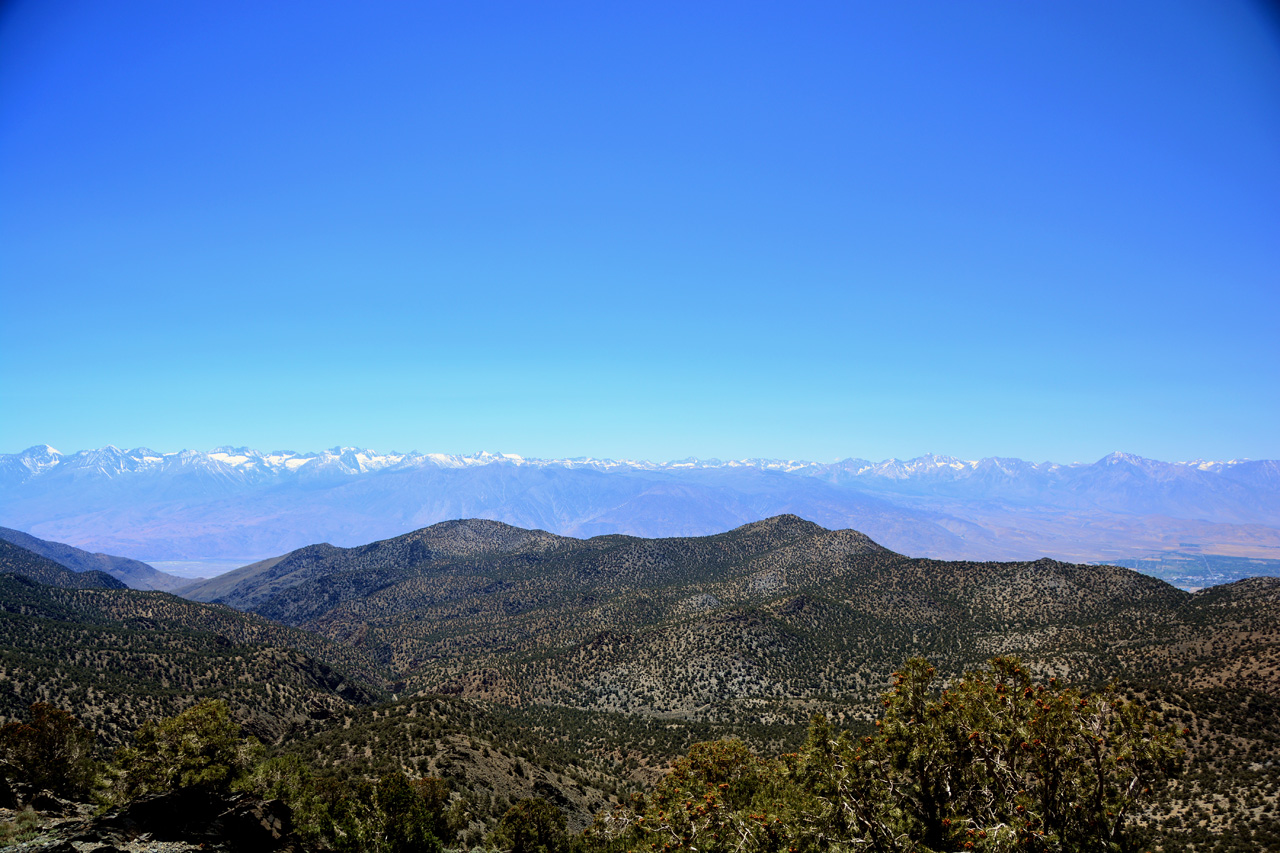 2015-06-02, 003, Ancient Bristlecone Grand View Overlook