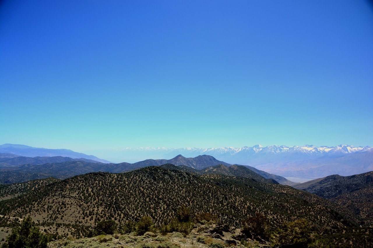 2015-06-02, 005, Ancient Bristlecone Grand View Overlook