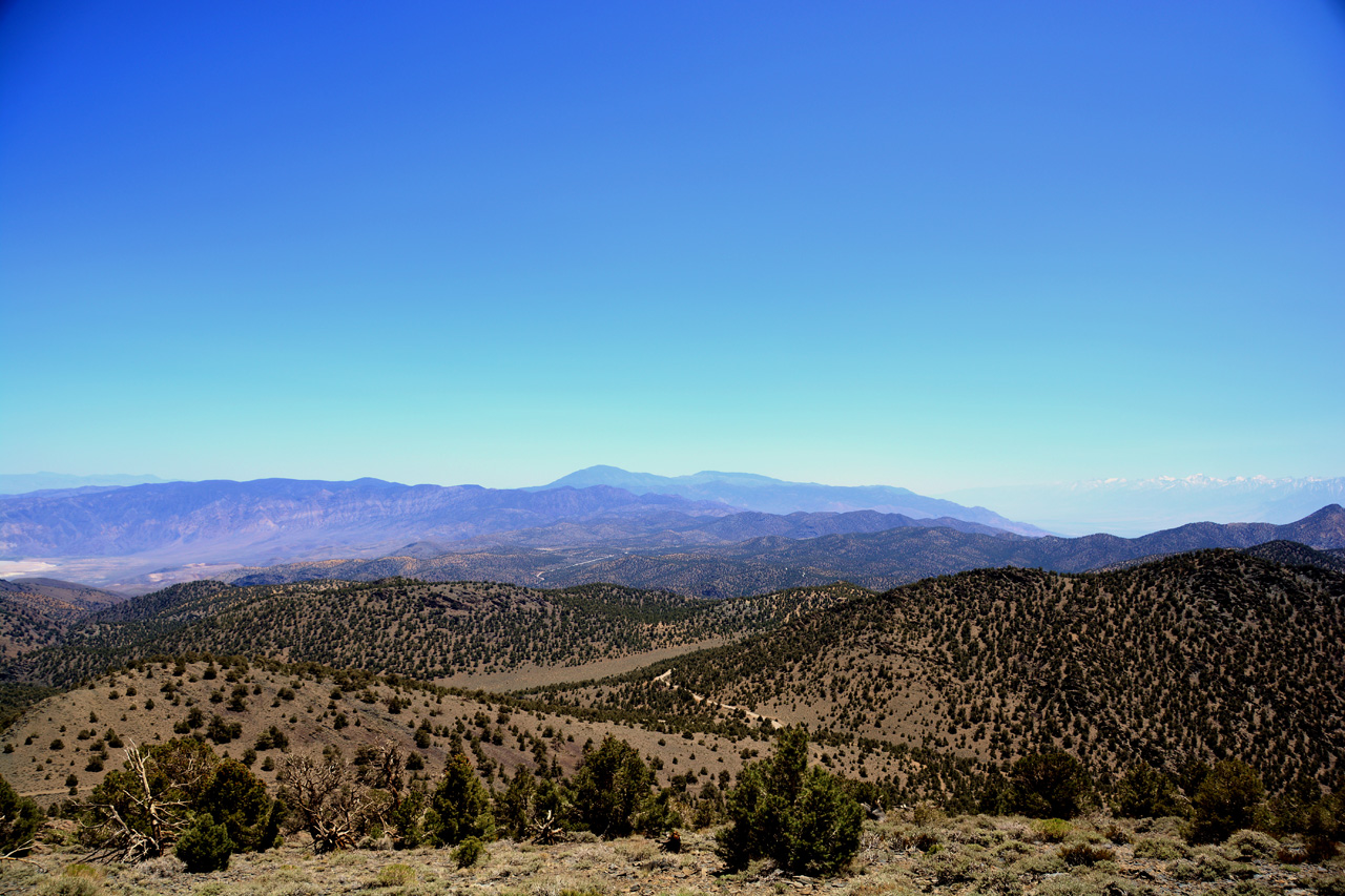 2015-06-02, 006, Ancient Bristlecone Grand View Overlook
