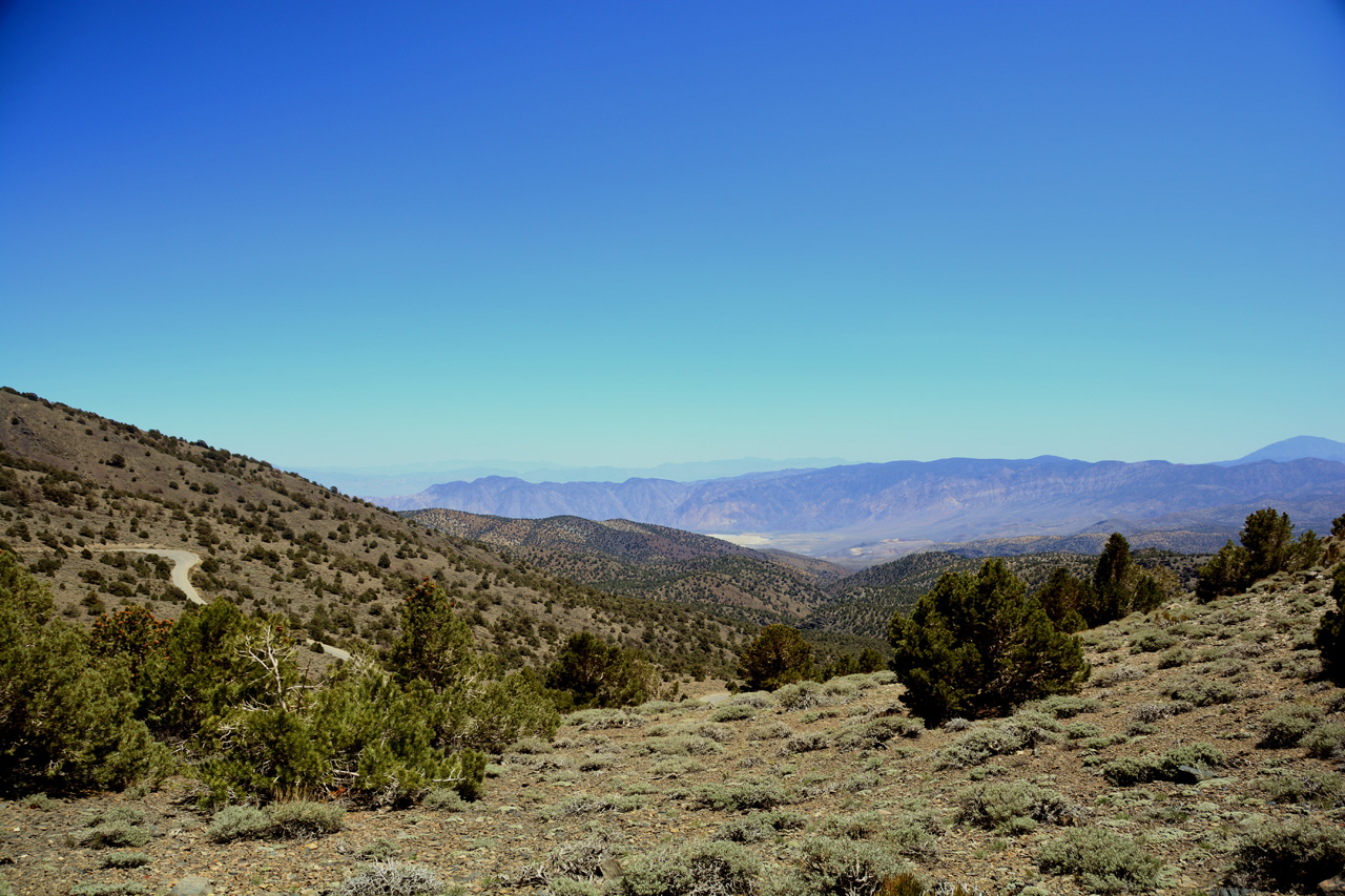 2015-06-02, 008, Ancient Bristlecone Grand View Overlook