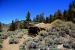 2015-06-02, 013, Schulman Grove - Bristlecone Cabin Trail