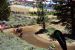 2015-06-20, 102, Mammoth Lakes Motorcross, CA