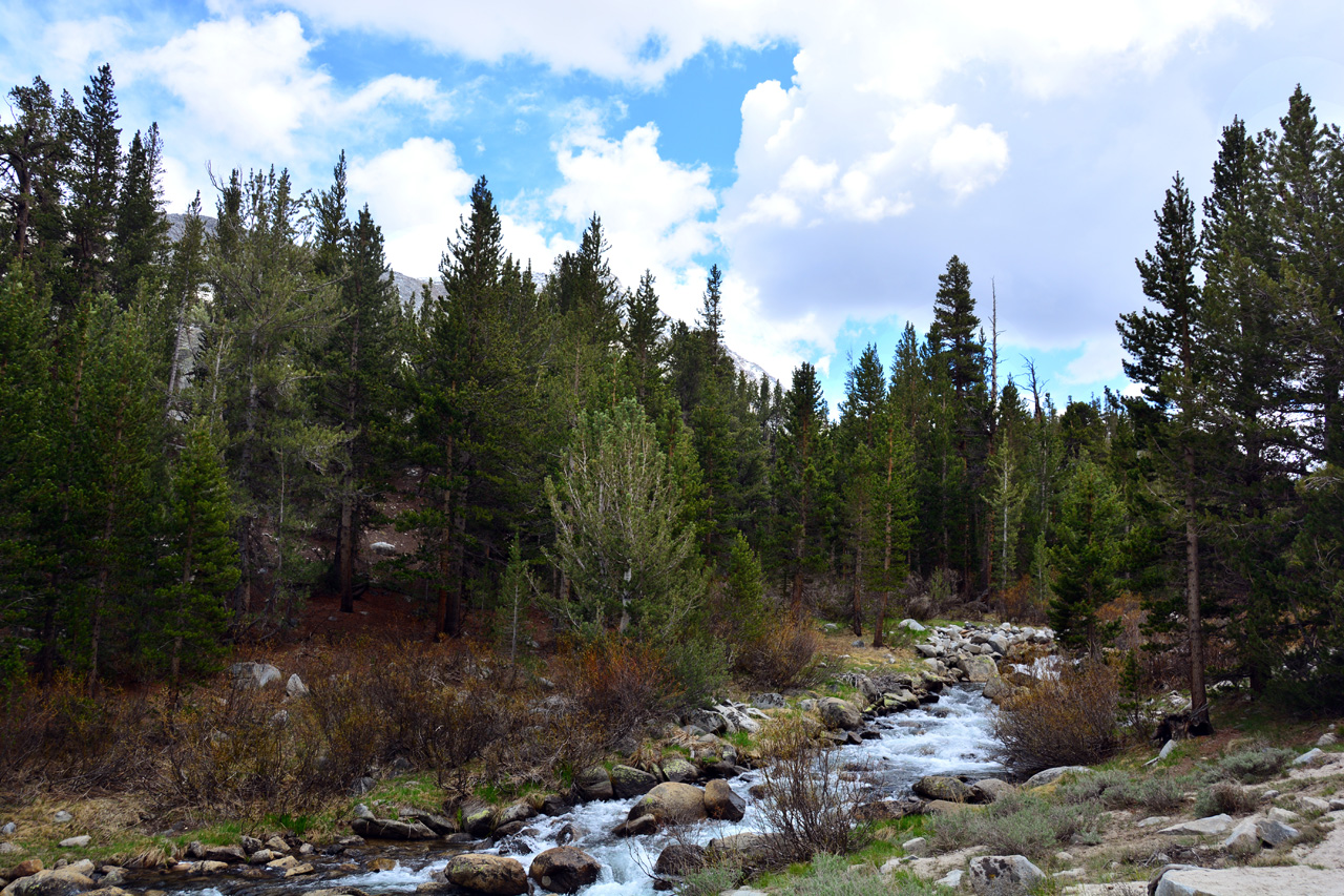 2015-06=12, 005, Trail to Rock Lake, Muir Wilderness