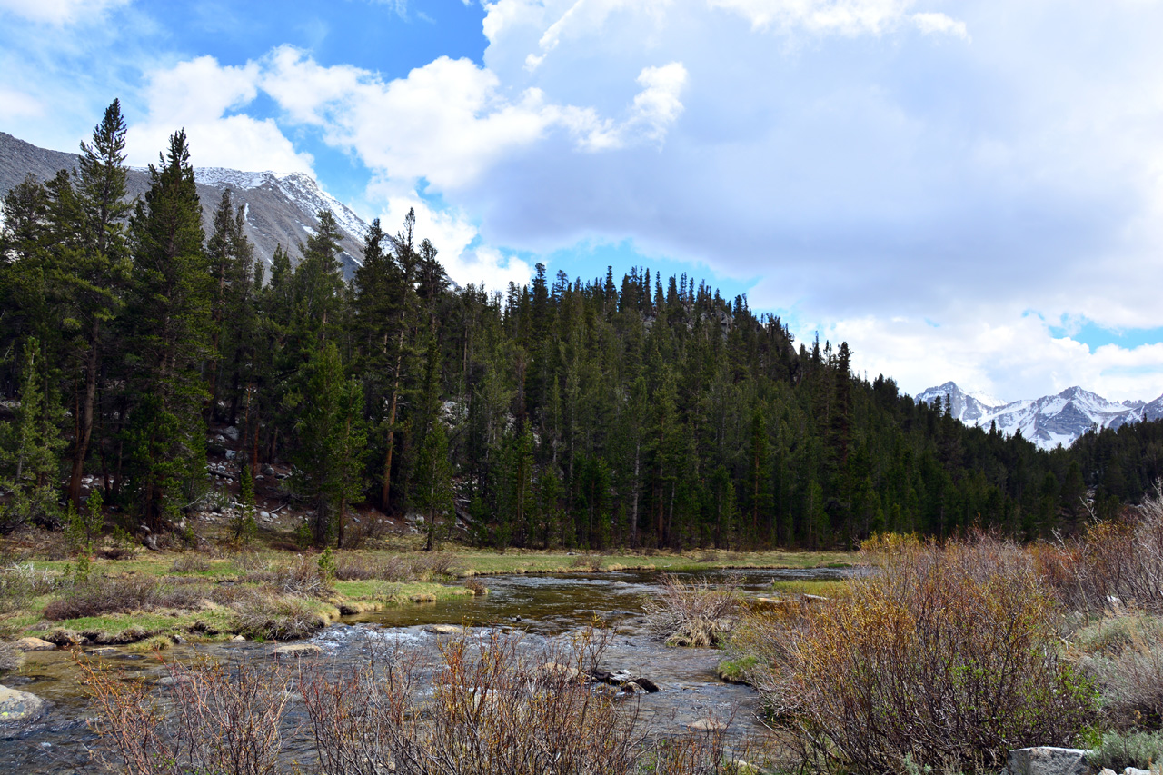 2015-06=12, 006, Trail to Rock Lake, Muir Wilderness