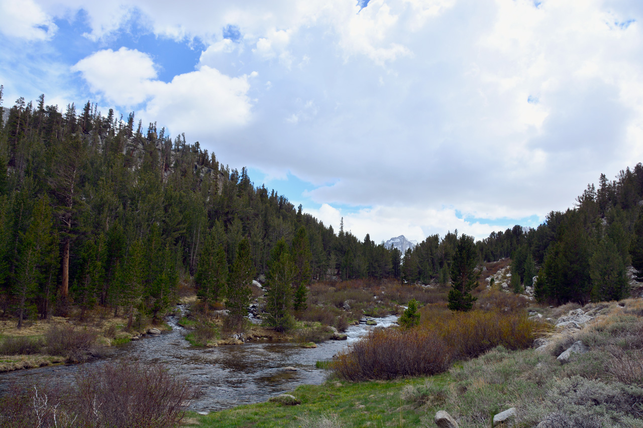 2015-06=12, 008, Trail to Rock Lake, Muir Wilderness