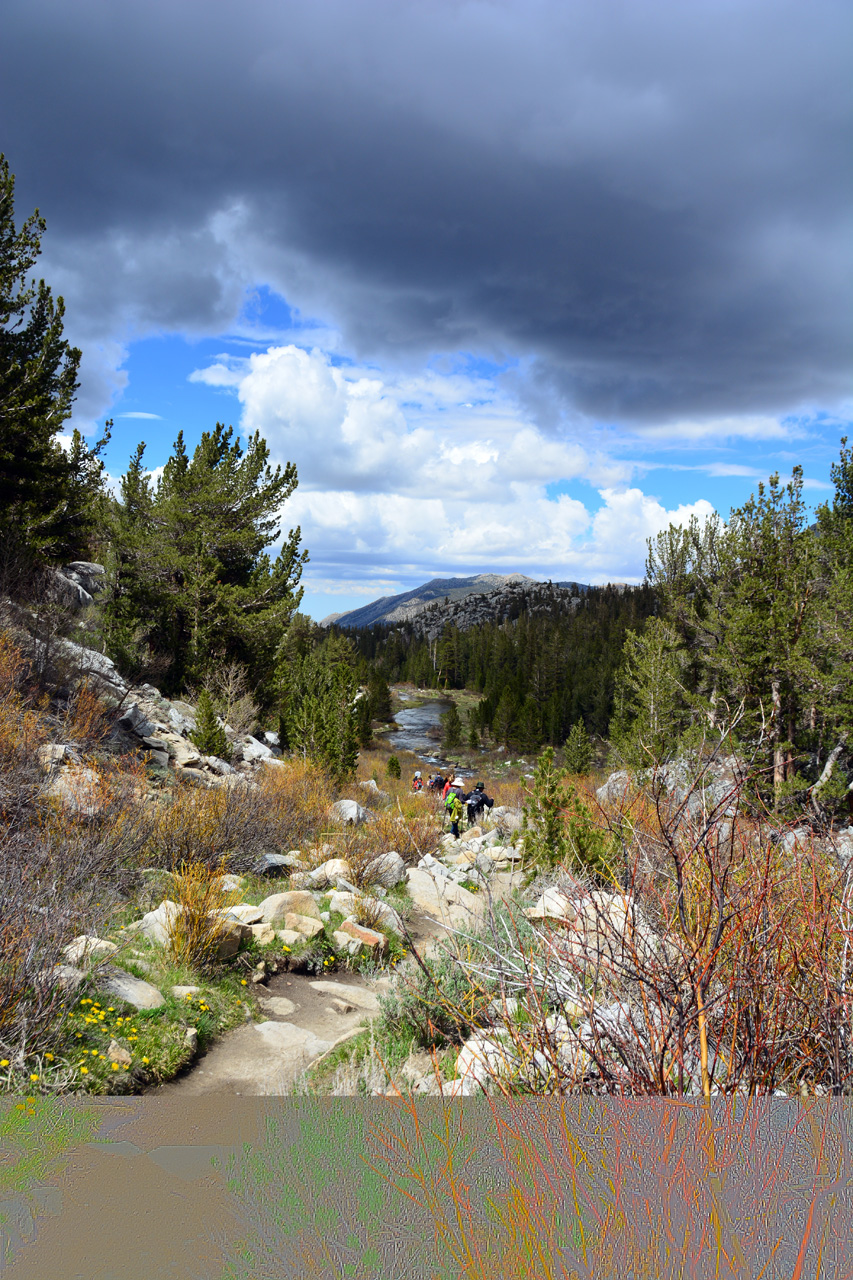 2015-06=12, 009, Trail to Rock Lake, Muir Wilderness