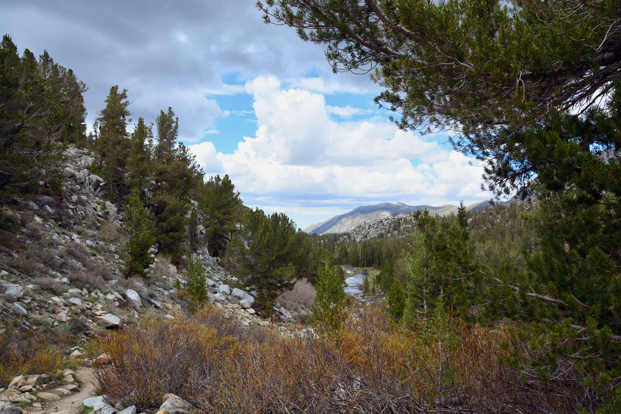 2015-06=12, 011, Trail to Rock Lake, Muir Wilderness