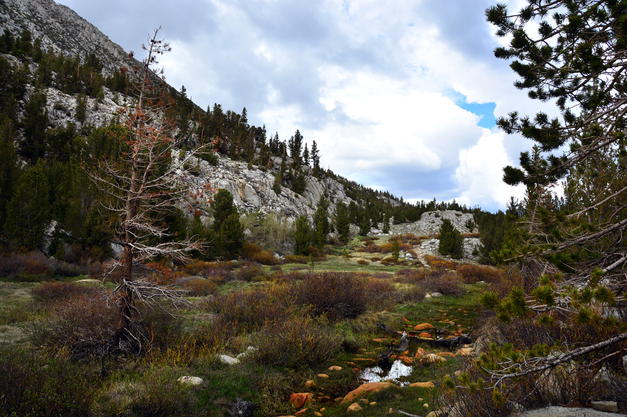 2015-06=12, 020, Trail to Rock Lake, Muir Wilderness