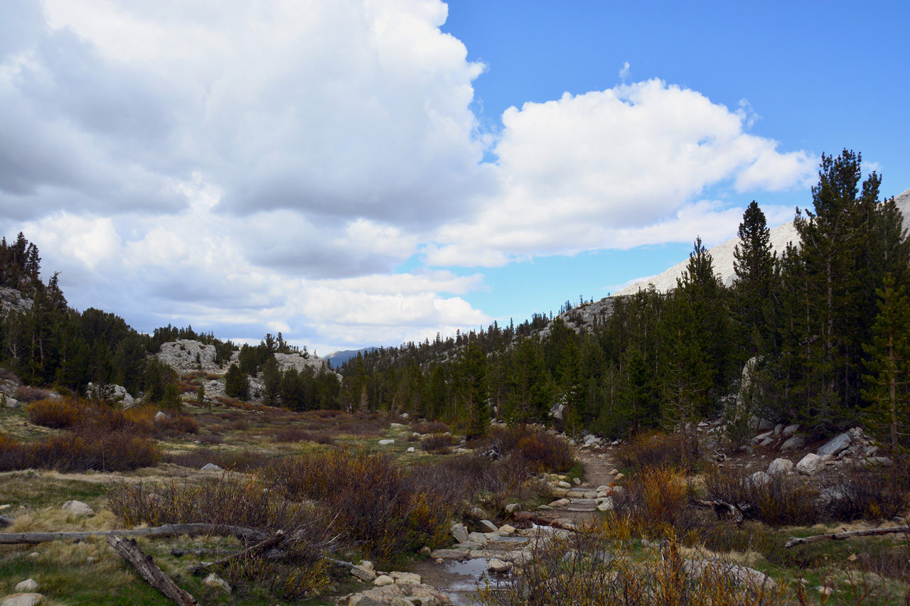 2015-06=12, 026, Trail to Rock Lake, Muir Wilderness
