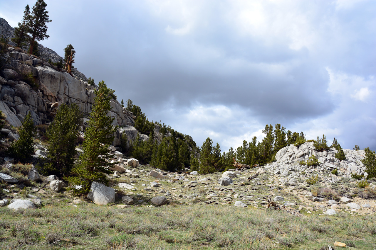 2015-06=12, 029, Trail to Rock Lake, Muir Wilderness
