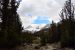 2015-06=12, 021, Trail to Rock Lake, Muir Wilderness