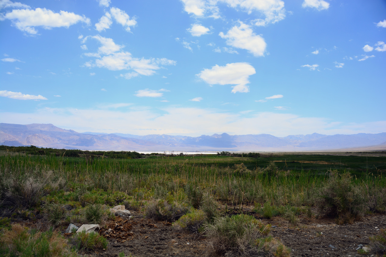 2015-06-04, 022, Death Valley Rd - Saline Valley Rd