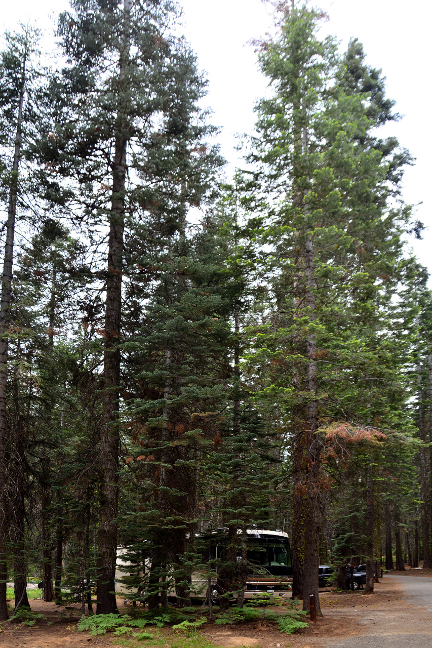 2015-06-28, 002, Yosemite NP, Crane Flat CG, Site 306