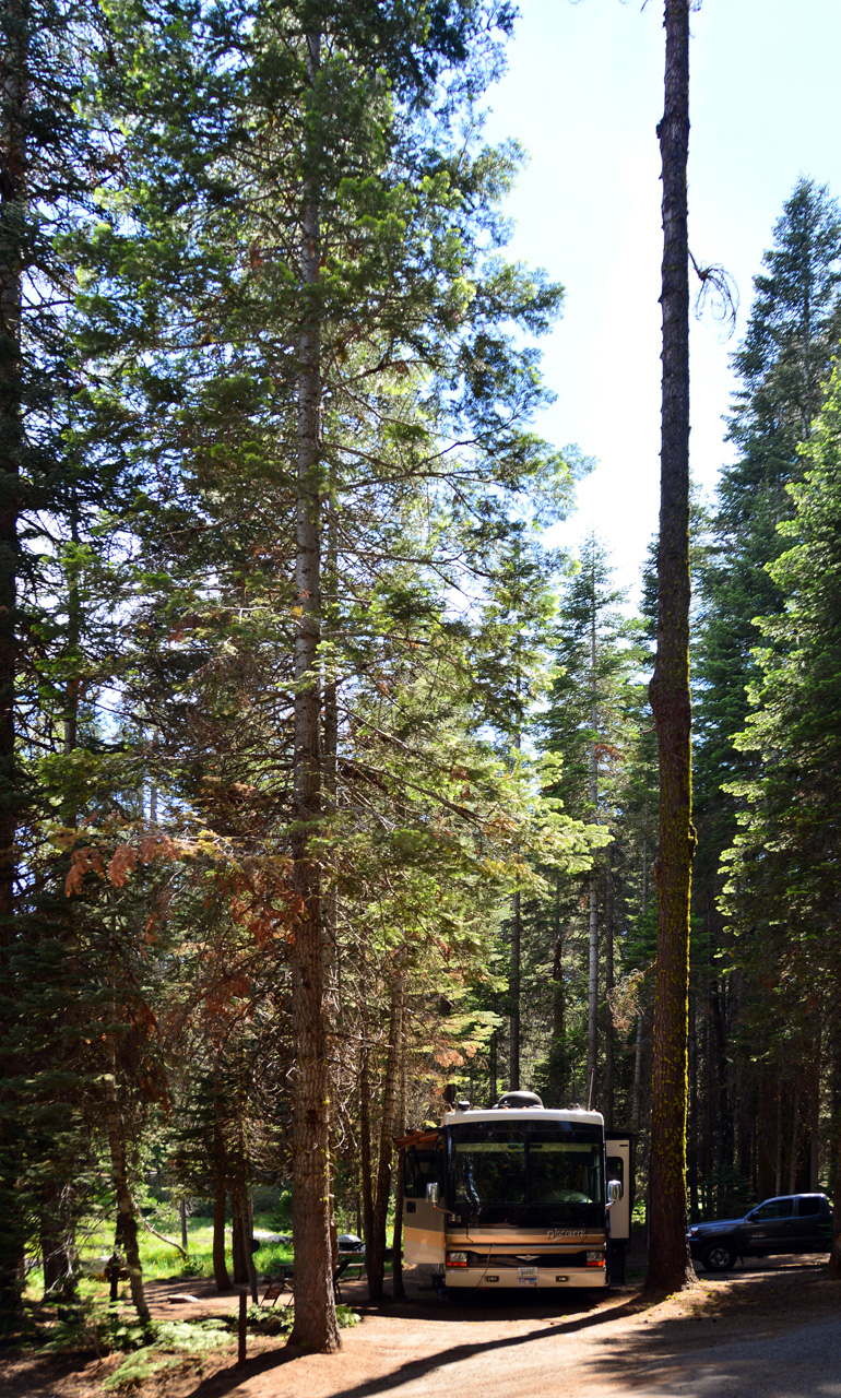 2015-06-28, 005, Yosemite NP, Crane Flat CG, Site 306