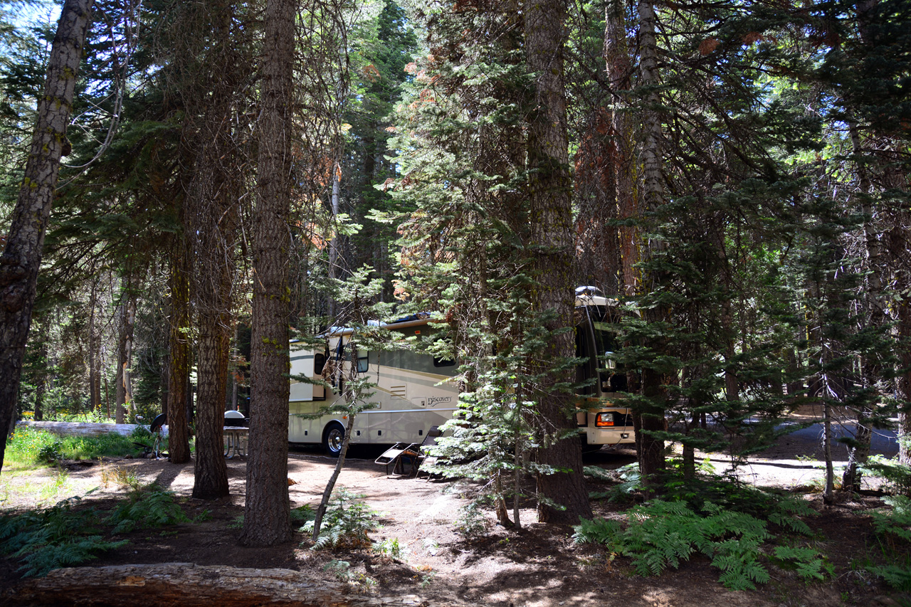 2015-06-28, 014, Yosemite NP, Crane Flat CG, Site 306