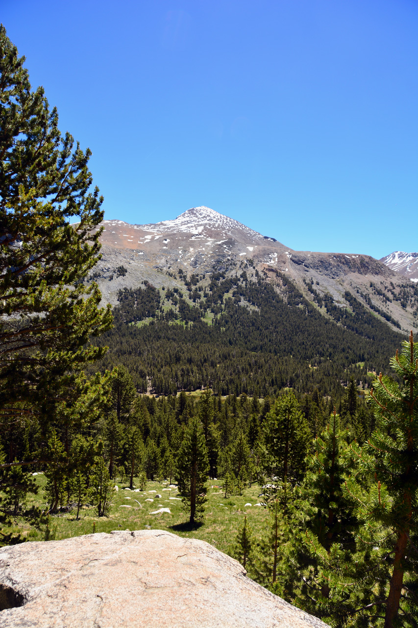 2015-06-15, 004, Yosemite NP, Mount Dana