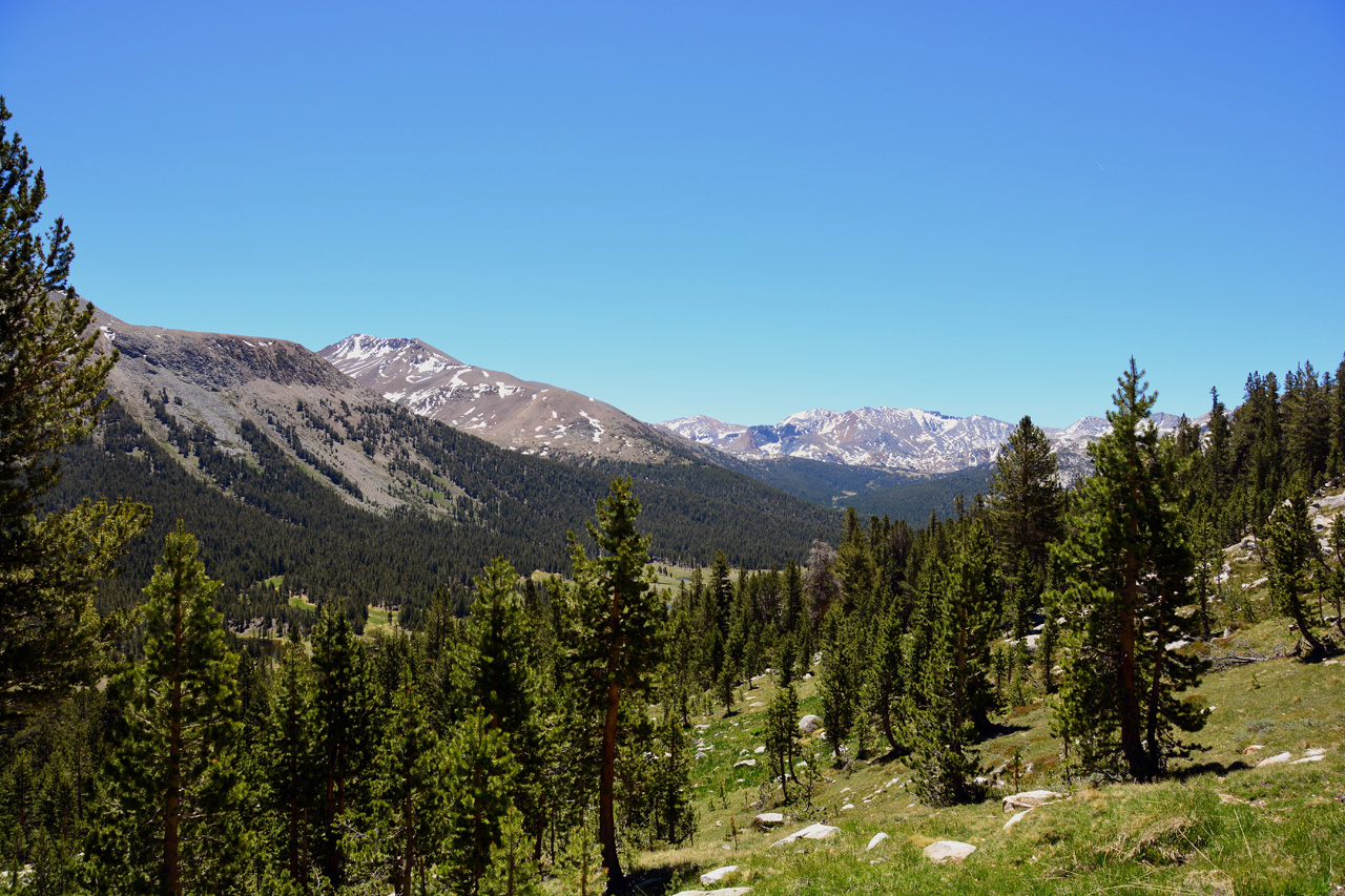 2015-06-15, 005, Yosemite NP, Mount Gibbs