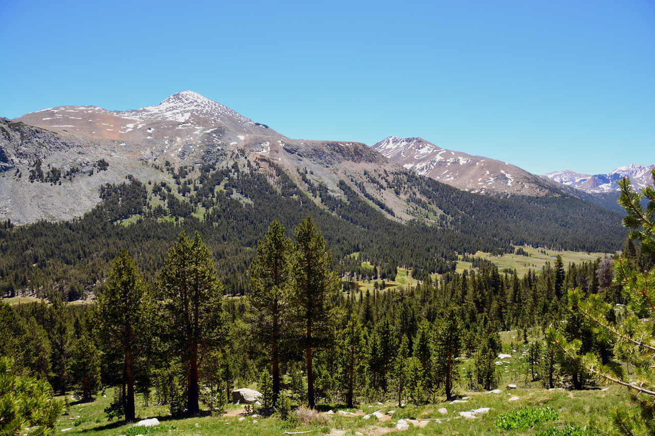 2015-06-15, 006, Yosemite NP, Mount Dana-Gibbs