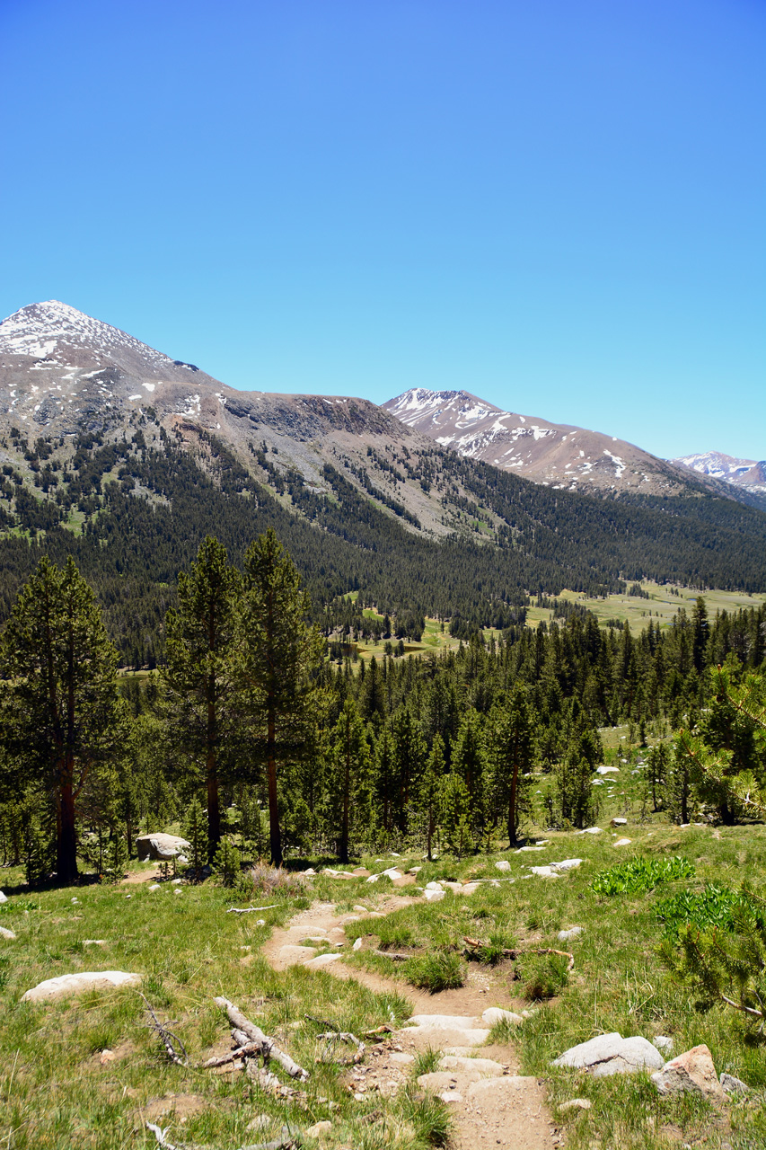 2015-06-15, 007, Yosemite NP, Mount Dana-Gibbs
