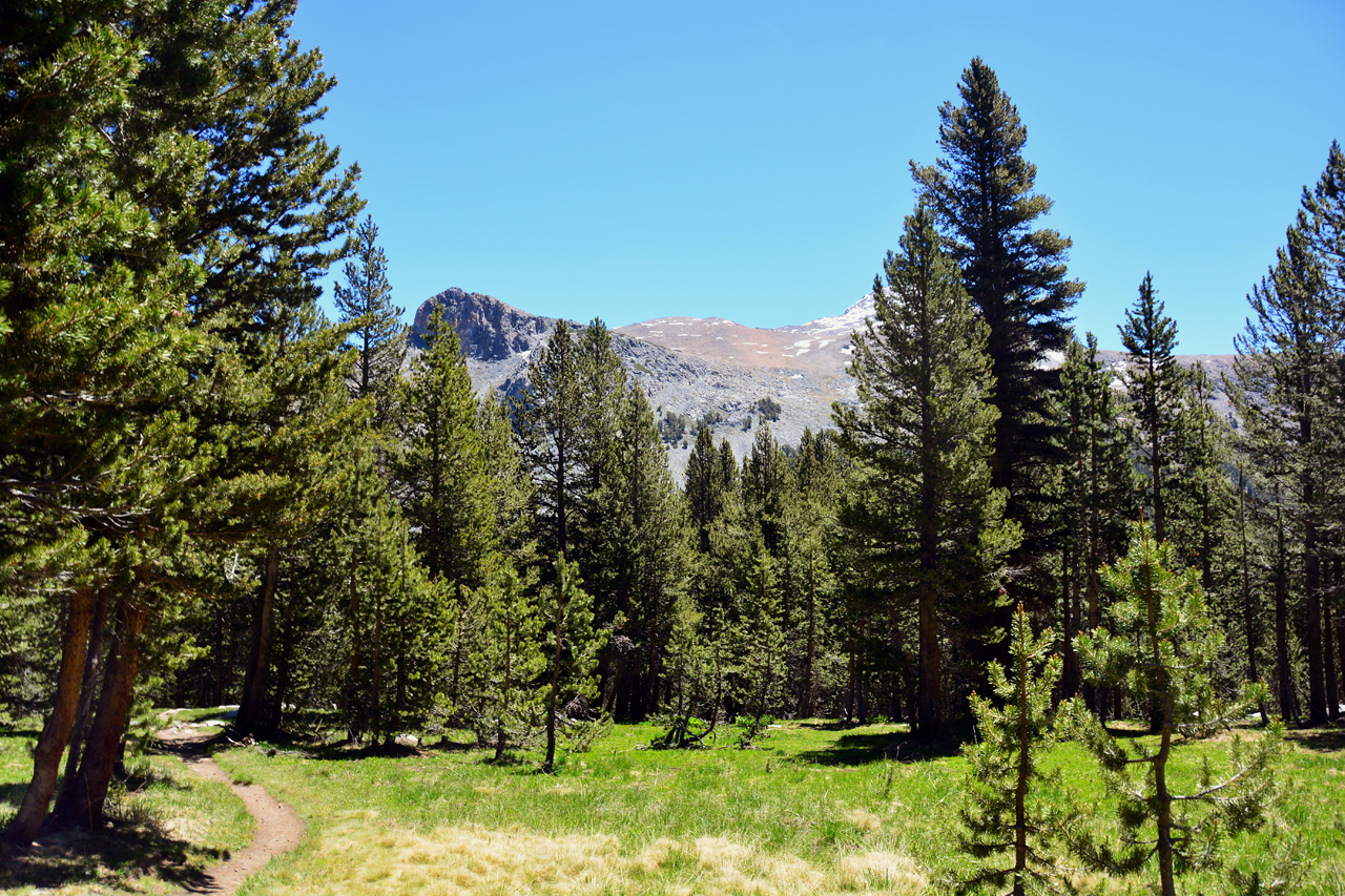 2015-06-15, 008, Yosemite NP, Trail to Gaylor Lakes