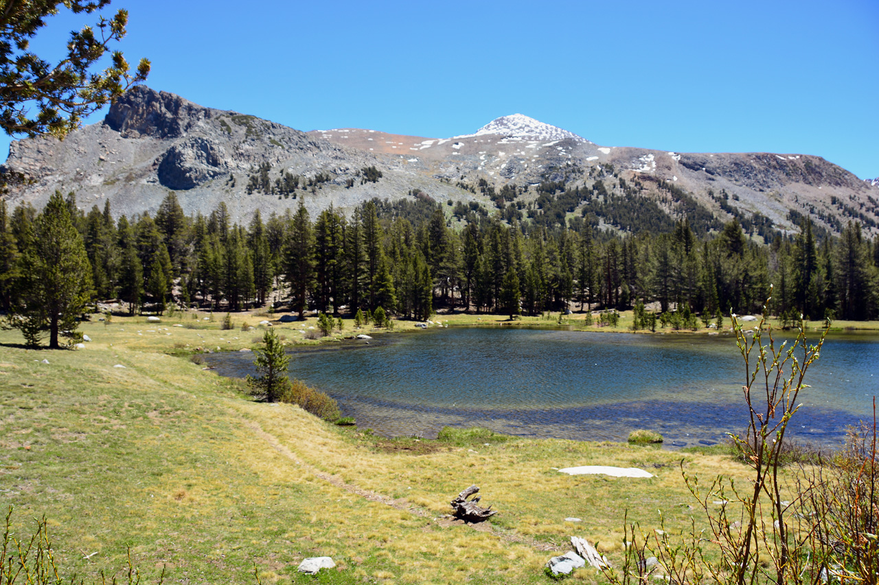 2015-06-15, 009, Yosemite NP, The Meadows