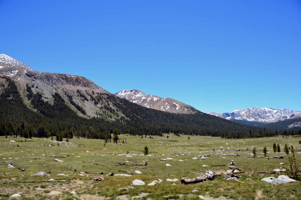 2015-06-15, 011, Yosemite NP, The Meadows