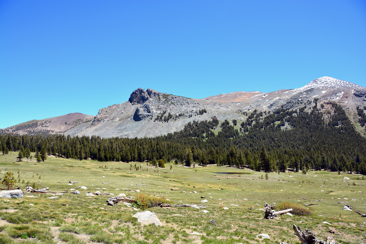 2015-06-15, 012, Yosemite NP, The Meadows