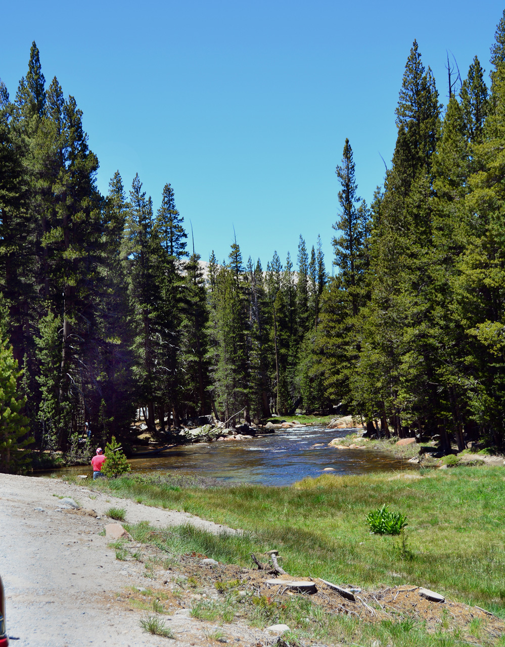 2015-06-15, 016, Yosemite NP, The Meadows