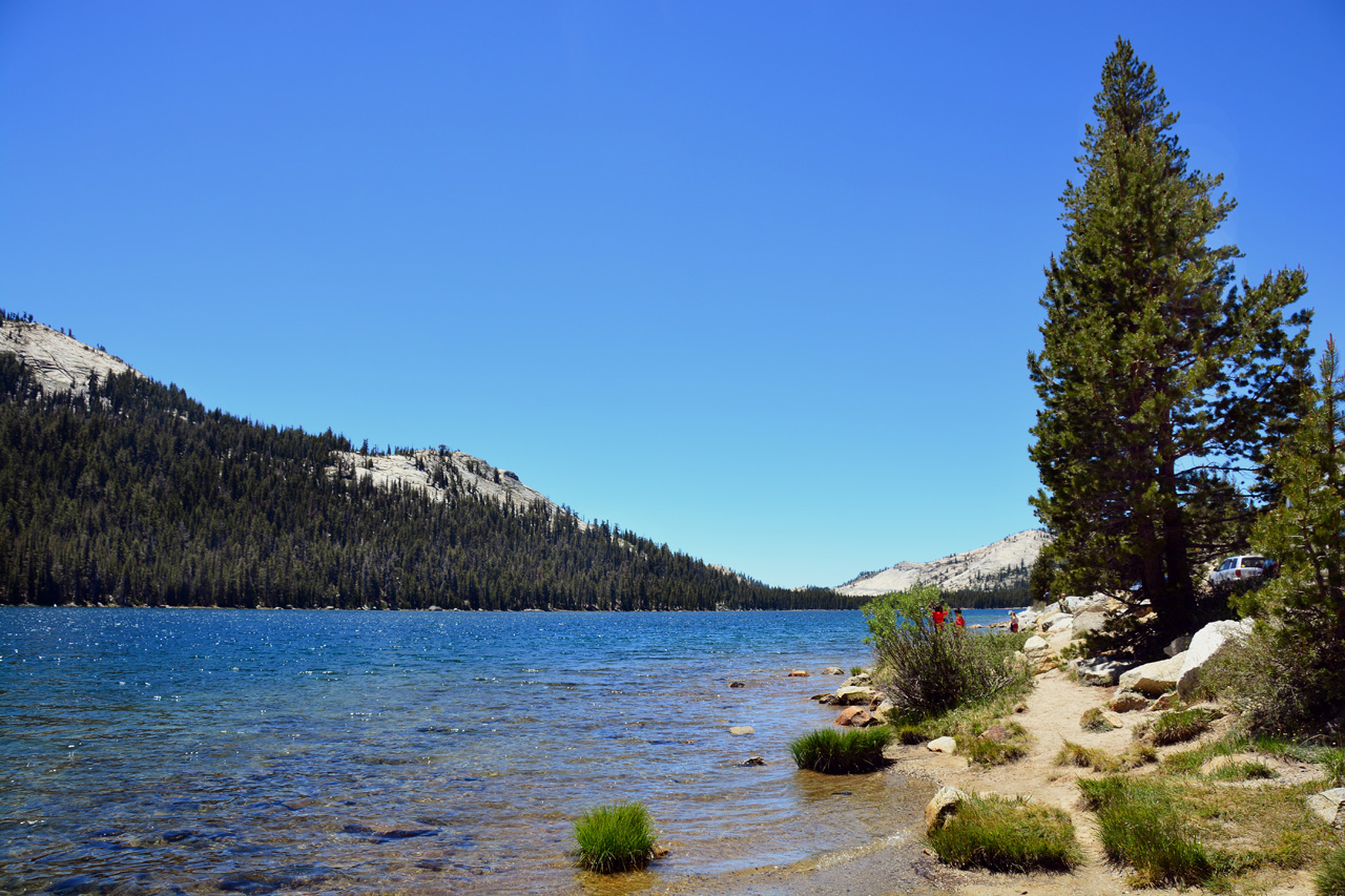 2015-06-15, 018, Yosemite NP, Tenaya Lake
