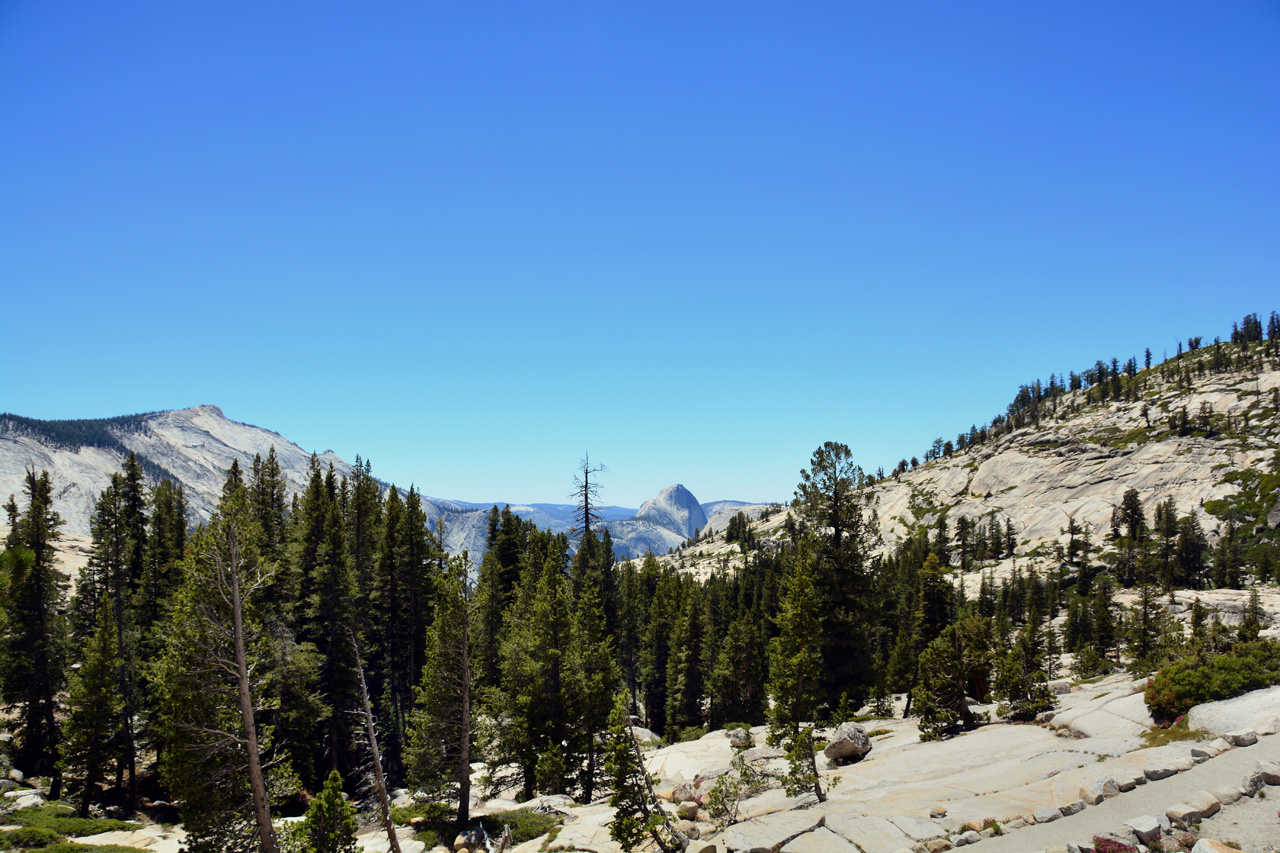 2015-06-15, 023, Yosemite NP