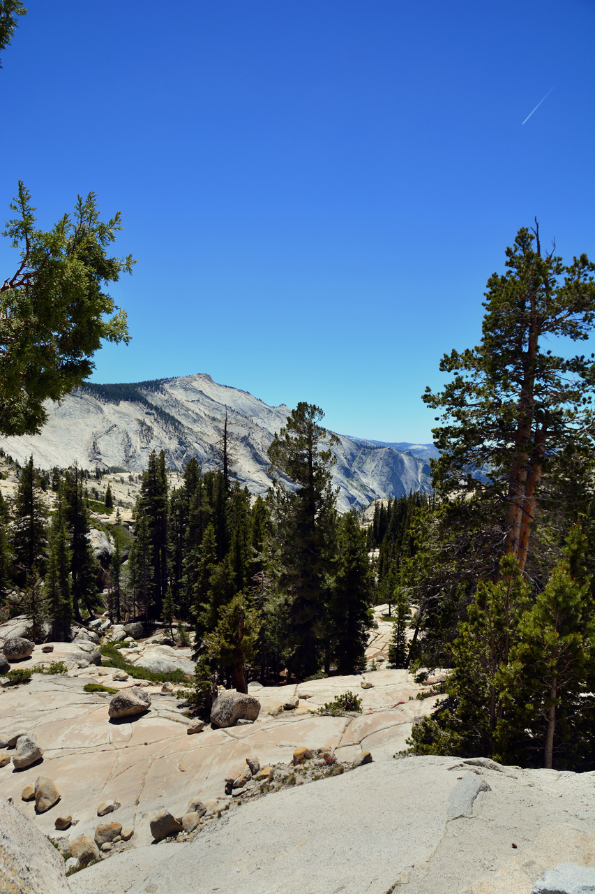 2015-06-15, 024, Yosemite NP