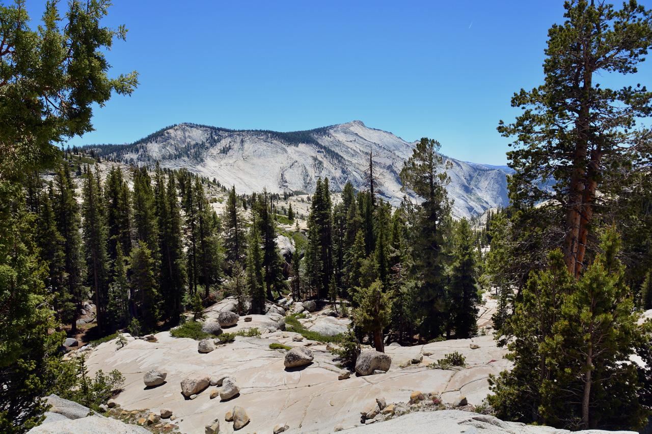 2015-06-15, 026, Yosemite NP