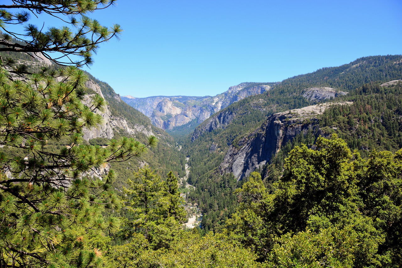 2015-06-15, 032, Yosemite NP View