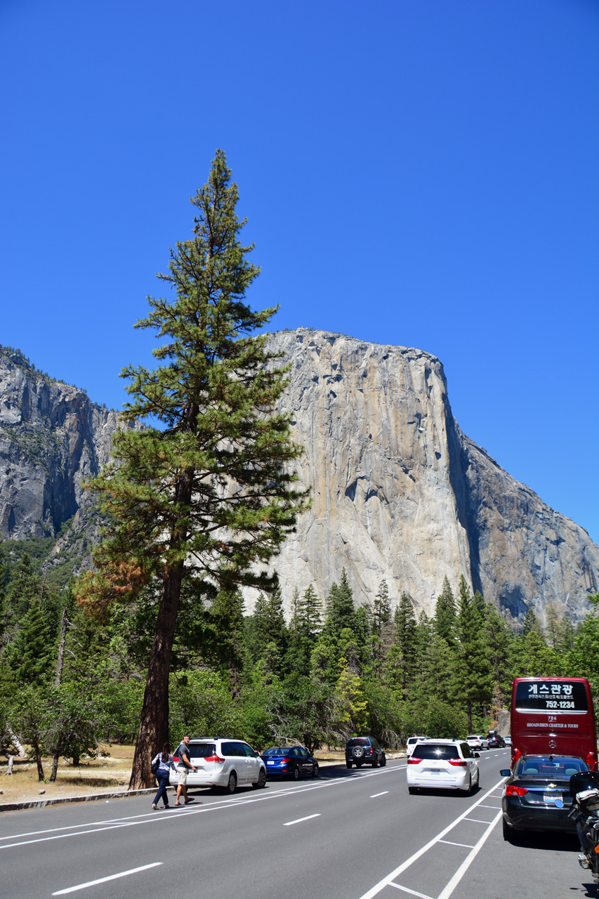 2015-06-15, 040, Yosemite NP, El Capitan Area