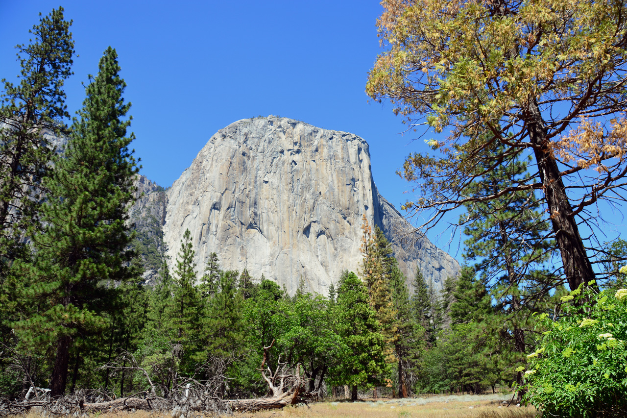 2015-06-15, 047, Yosemite NP, El Capitan Area
