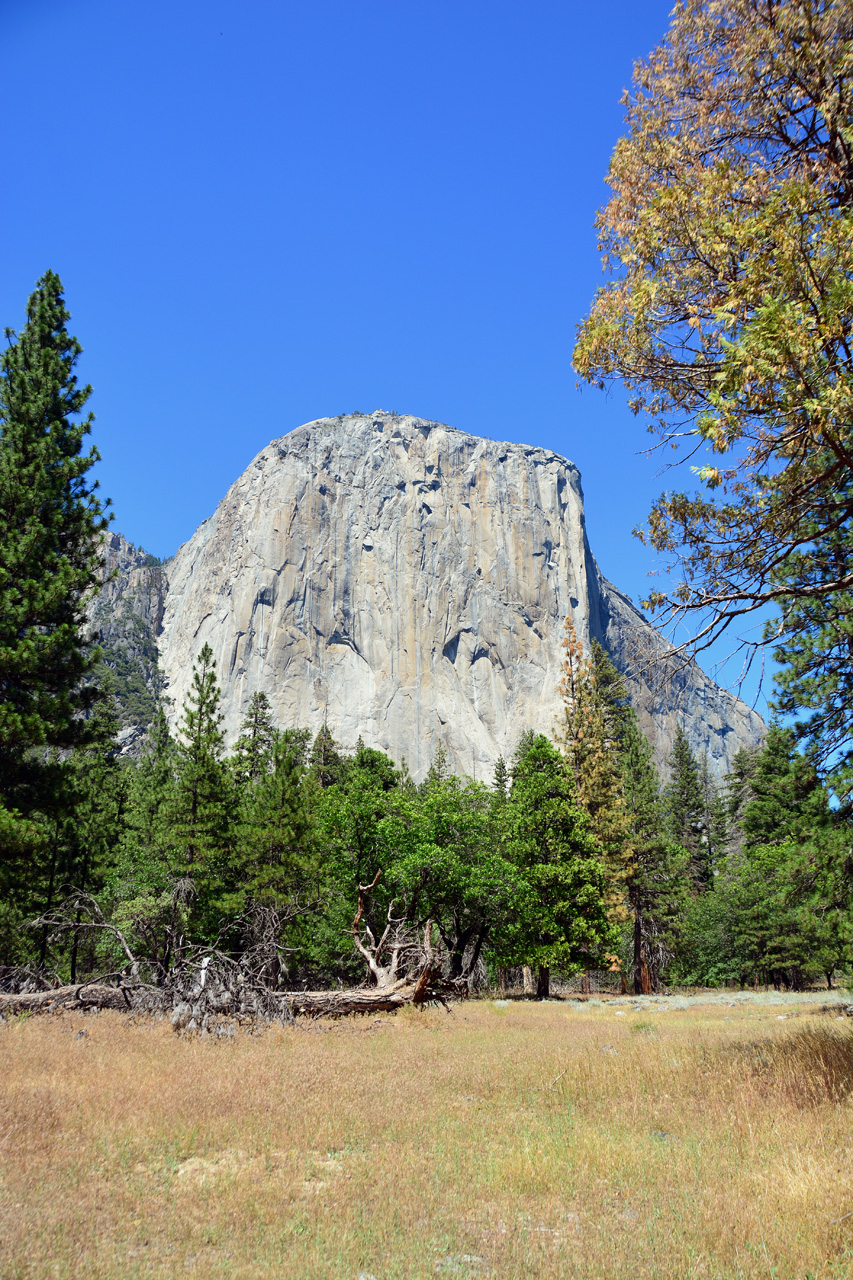 2015-06-15, 048, Yosemite NP, El Capitan Area