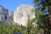 2015-06-15, 044, Yosemite NP, El Capitan Area