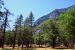 2015-06-15, 051, Yosemite NP, El Capitan Area