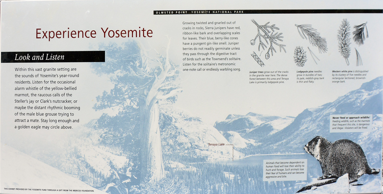 2015-06-28, 006, Yosemite NP, Wild Life Sign, CA