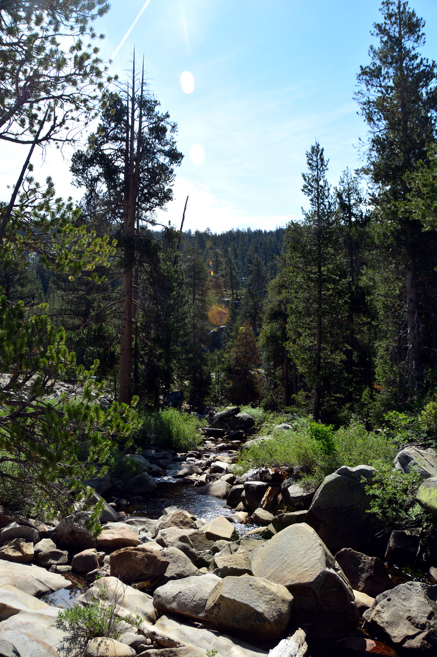 2015-06-28, 018, Yosemite NP, Yosemite Creek, CA