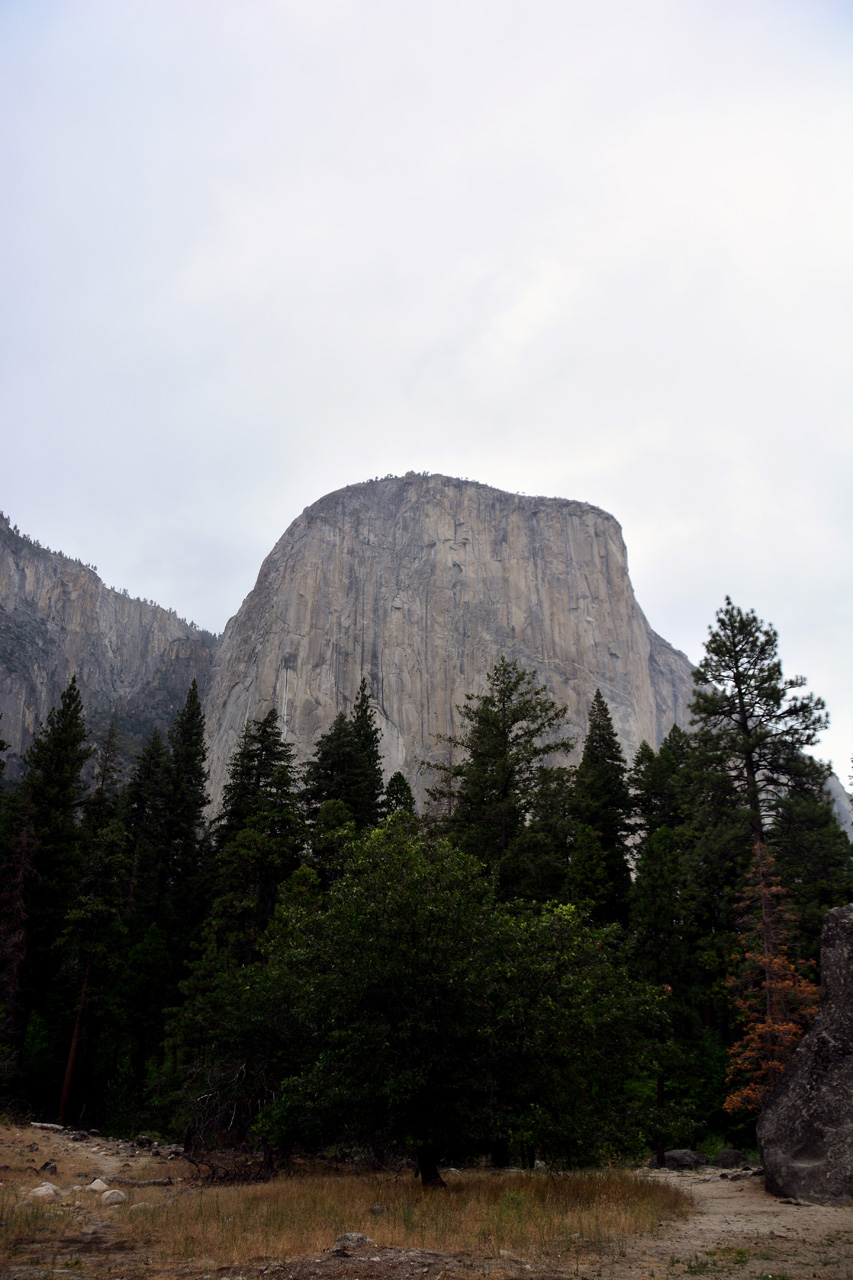 2015-06-28, 021, Yosemite NP, El Capitan, CA
