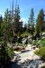 2015-06-28, 015, Yosemite NP, Yosemite Creek, CA
